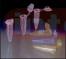 CENTRIFUGE TUBE MICRO