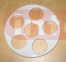 DESSICATOR PLATES