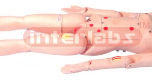 PATIENT CARE SIMULATOR WITH OSTOMY
