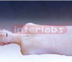 Half Body CPR Training Model (Female)