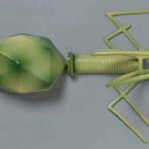 Bacteriophage T4