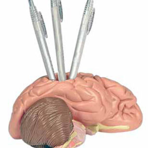 Brain Penholder