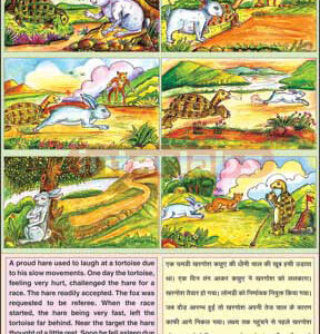 Hare & The Tortoise