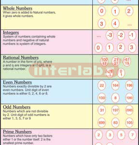 Number System