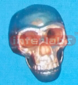 COPPERIZED PEKING SKULL