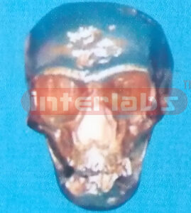 COPPERIZED NEANDERTHAL SKULL