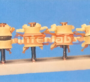 DEVELOP COMPARISONS FOR SPINAL CORD, NERVES DISC AND INTERVERTEBRAE (DEMONSTRATION FOR FOUR STAGE DEGENERATION)