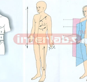 HUMAN ANATOMICAL FACE DESCRIPTION MODEL