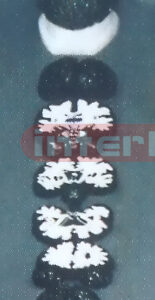 SAGITAL PLANE BRAIN MODEL (7 PCS )