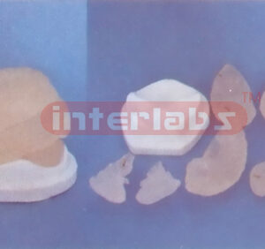 GOLD BRAIN, WITH ARTERIES, (8 PCS) NATURAL ON BASE