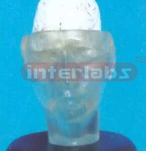 TRANSPARENT HEAD MODEL WITH 2-PCS BRAIN