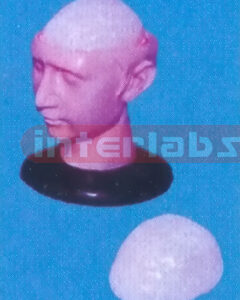 BIG DELUXE HEAD WITH 1-PC BRAIN