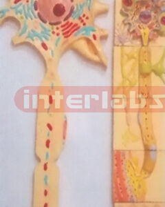 HUMAN ADVANCED COMPOSITIVE NERVES SYSTEM WOODEN PLATE