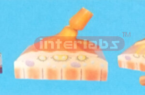 HUMAN MODEL OF MOTOR AND PLATE