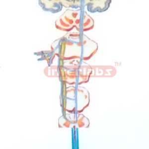 HUMAN PATHWAYS MODEL OF PAIN THALLOOSIS. TACTILE SENSATION OF HEAD AND FACE HUMAN PATHWAYS MODEL OF PAIN THALLOOSIS. TACTILE SENSATION OF HEAD AND FACE