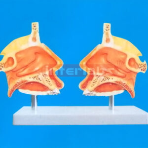 DESKTYPE, NOSE MODEL WIDESCRIPTION PLATE