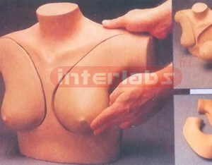 DELUXE BREAST SELF EXAMINATION SIMULATOR