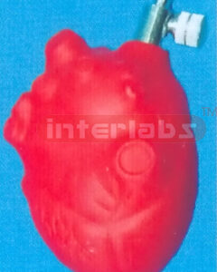 MEDICAL HEART TYPE PUMP