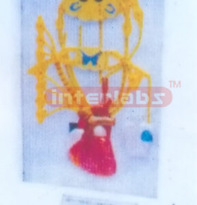 ELECTRIC MODEL OF HEART NERVE