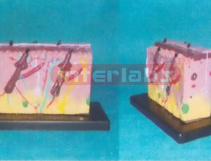 MINI-SKIN, ON SQUARE BASE (A TYPE) 12.5 x 4.2 x 11cm