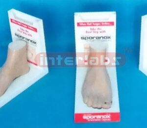 HUMAN FOOT PATHOLOGIES DEMONSTRATION MODEL WITH DESCRIPTION PLATE