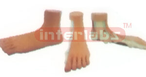 BIG FLAT FOOT MODEL
