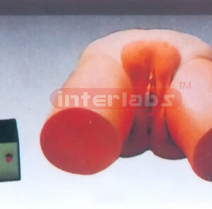 ELECTRONIC FEMALE LEAD URINE MODEL