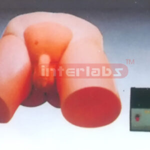 ELECTRONIC MALE LEAD URINE MODEL