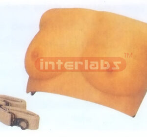ADVANCED BREAST PALPATION TRAINING MODEL