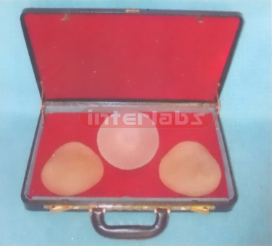 DELUXE FEMALE BREAST SELF EXAMIMATION SIMULATOR