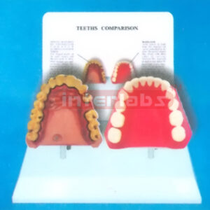 DESK-TYPE, HEALTH MAN THAN SMOKING FOR COMPARISON DEMONSTRATING MAN WITH DESCRIPTION PLATE