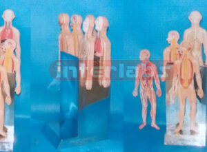 35CM HUMAN SYSTEMS DEMONSTRATING AND COMPASITING PLATFORM