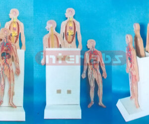 35CM HUMAN SYSTEMS DEMONSTRATING AND COMPASITING PLATFORM