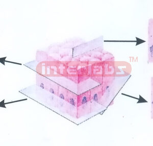 SECTIONS OF SIMPLE COLUMNAR EPITHELIUM IN DIFFERENT DIRECTIONS FOR HISTOLOGY