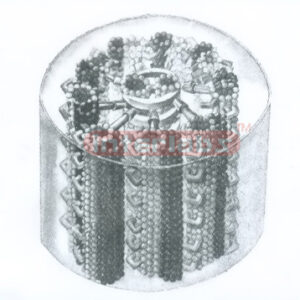 ANIMAL CELL CILIA STRUCTURE MODEL