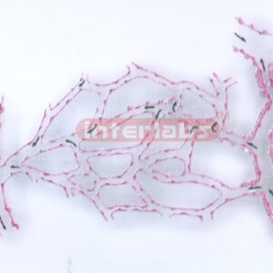 HUMAN MODEL SHOWING THE STRUCTURE OF MICROCIRCULATION