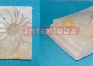 HUMAN NEURON MODEL