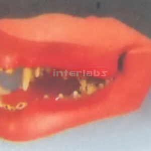CANINE JAWS WITH PATHOLOGIES