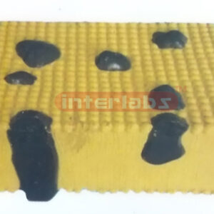 A MODEL OF THE CELL MEMBRANE