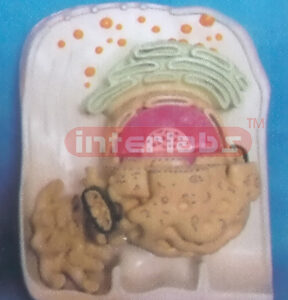 MODEL OF ULTRA-MICRO CELL VERTICAL STRUCTURE (B TYPE)