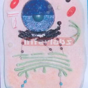 PLANT CELL MATERIAL