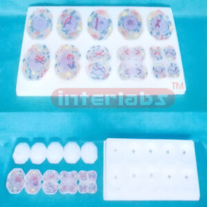 ADVANCED ANIMAL MITOSIS MODELS