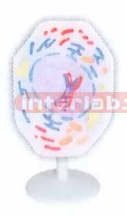 ANIMAL MITOSIS TYPE E