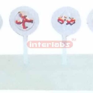 ANIMAL CELL MITOSIS MODELS