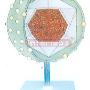 SECOND HEPATITIS VIRUS MODEL