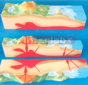 MODEL OF VOLCANO