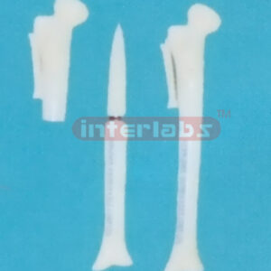 SMALL ADVANCED BONE PEN WITHOUT KEY AND HANGING TIE