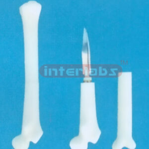 BIG ADVANCED BONE KNIFE
