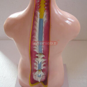 Educational Equipment