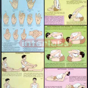 Yog Mudras, Padmasan & Matsyasan